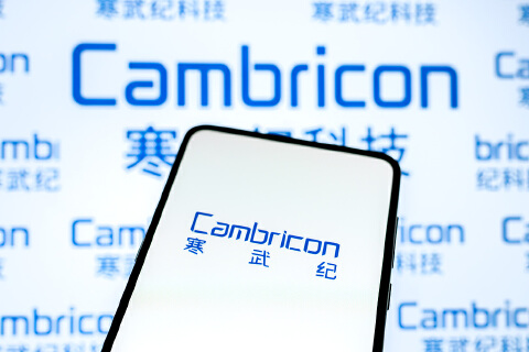 寒王发财报了：2025营收64.97亿，同比大涨4.5倍，符合机构预期